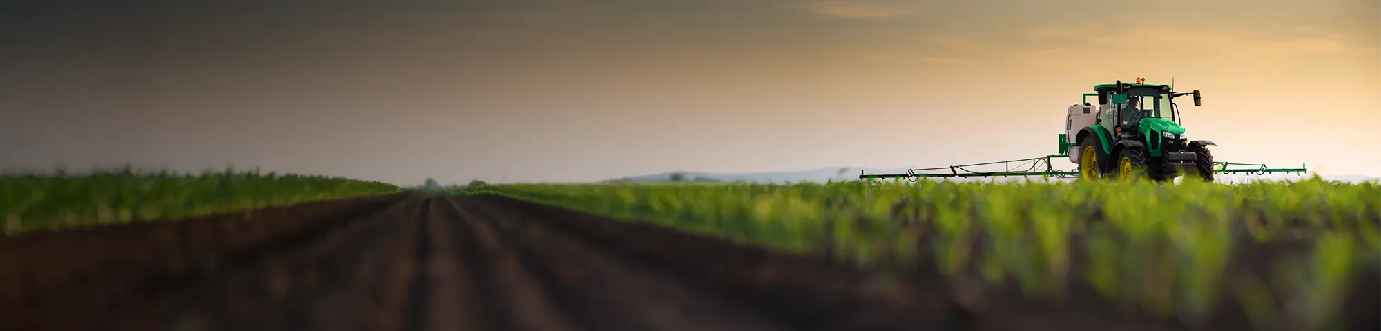 Photo of a green tractor ploughing the field