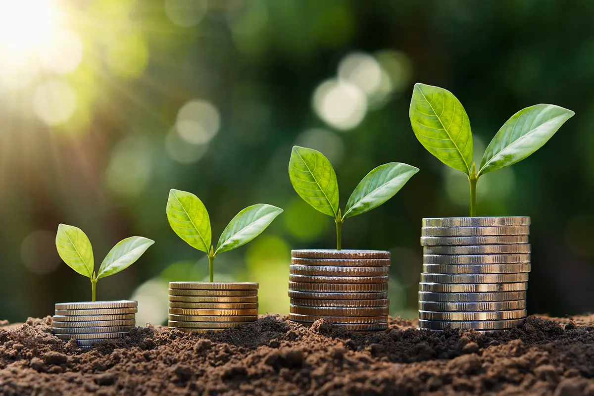 photo of money growing steadily with time